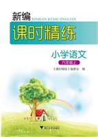 新编课时精练——小学