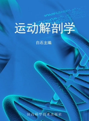 运动解剖学