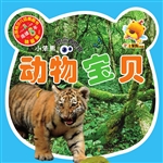 小笨熊带你看世界——