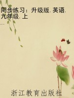 同步练习：升级版.英语.