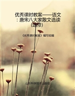 优秀课时教案——语文