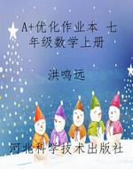 A+优化作业本 七年级