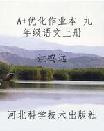 A+优化作业本 九年级