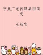 宁夏广电传媒集团简史