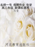 名师一号 假期作业 化