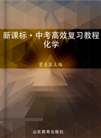 新课标·中考高效复习