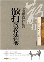 散打高级技法精要