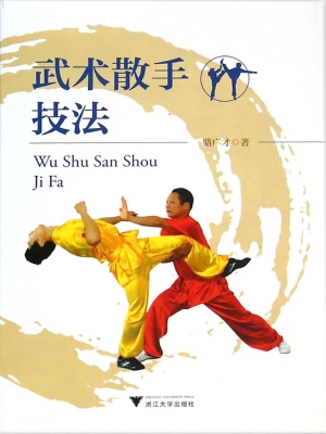 武术散手技法