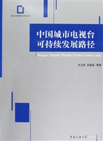 中国城市电视台可持续