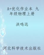 A+优化作业本 九年级