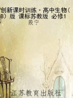 创新课时训练·高中生