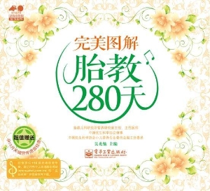 完美图解胎教280天