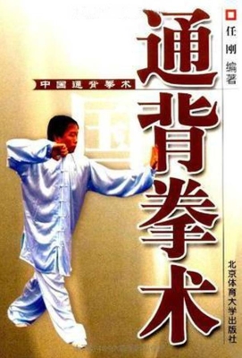 中国通背拳术