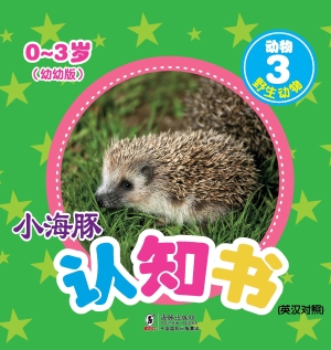 动物 3——野生动物