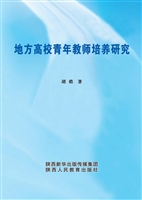 地方高校青年教师培养