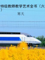 特级教师教学艺术全书