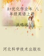 A+优化作业本 八年级