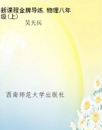 新课程金牌导练.物理