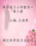 课后练习小学数学·第