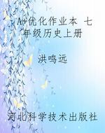 A+优化作业本 七年级