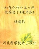 A+优化作业本八年级英