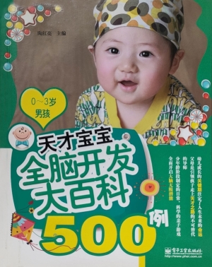 天才宝宝全脑开发大百