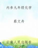 内参九年级化学