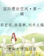 国际理论空间·第一辑