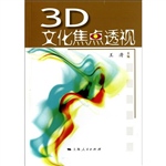 3D文化焦点透视