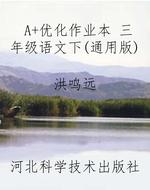 A+优化作业本 三年级
