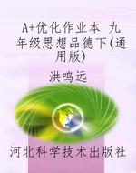 A+优化作业本 九年级