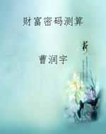 财富密码测算