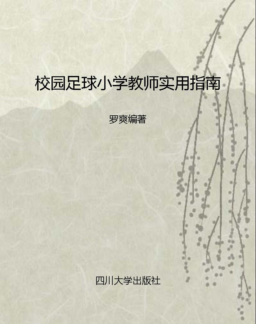 校园足球小学教师实用