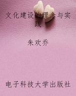 文化建设的理念与实践