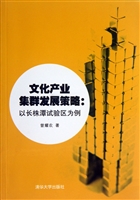 文化产业集群发展策略