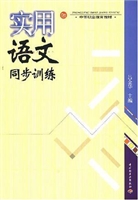 实用语文同步训练