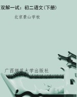 双解一试：初二语文(下