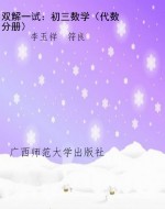 双解一试：初三数学（代数