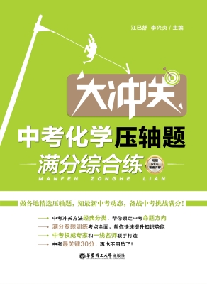 大冲关——中考化学压