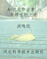 A+优化作业本 八年级