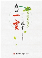 我的一实故事