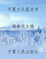 宁夏文化蓝皮书