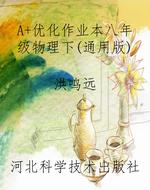 A+优化作业本八年级物