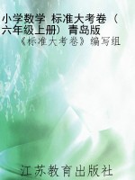 小学数学 标准大考卷 