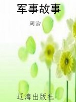 军事故事