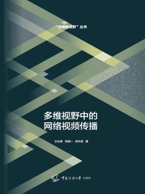 多维视野中的网络视频