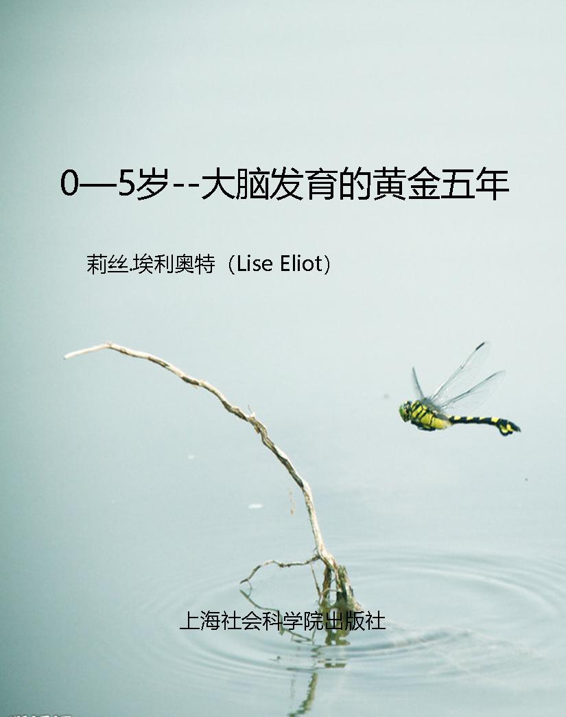 0—5岁--大脑发育的黄