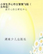 小学生开心作文智慧飞