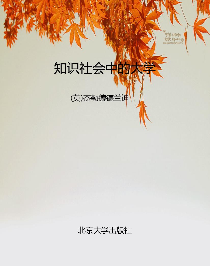知识社会中的大学
