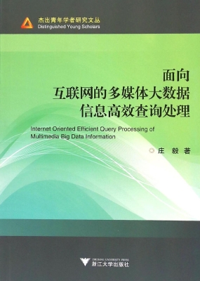 面向互联网的多媒体大
